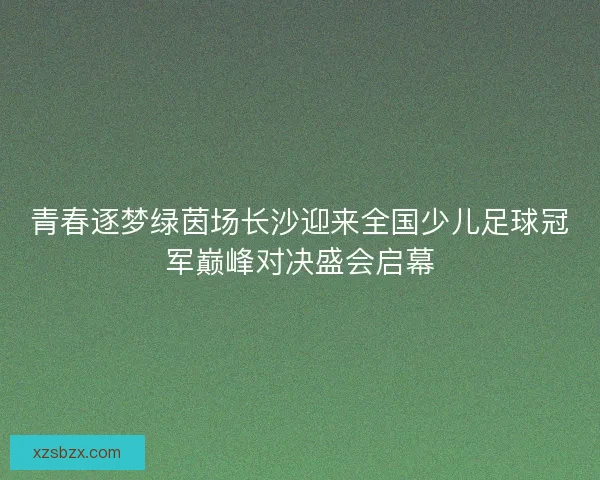 青春逐梦绿茵场长沙迎来全国少儿足球冠军巅峰对决盛会启幕