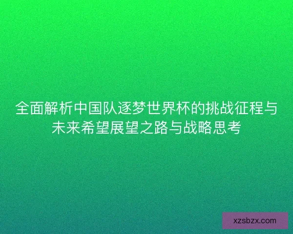 全面解析中国队逐梦世界杯的挑战征程与未来希望展望之路与战略思考